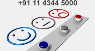 Immigration overseas the exceptional consultant and Visa provider without Complaints