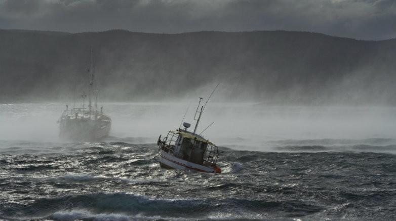 The haves and have-nots: Small publishers are left adrift by shift to platforms