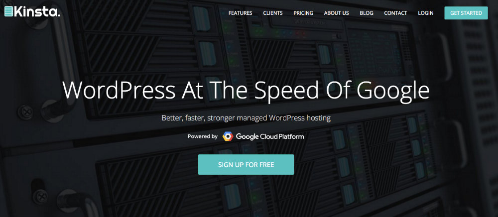 Kinsta – WordPress As You've Always Dreamed