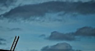 How Microsoft Supports Knowledge Management in the Cloud