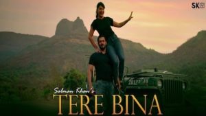 TERE BINA LYRICS – Salman Khan
