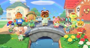 Animal Crossing Bugs May Have Started a Fight Club in the Museum