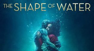 Hidden Details in The Shape of Water
