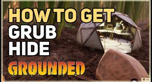Where to Find Grubs and Grub Hide in Grounded