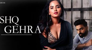 Ishq Gehra Lyrics – Altaaf Sayyed