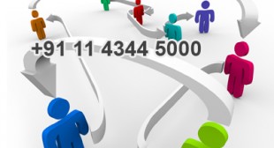 Immigration Overseas Online Services With Expert Advisors