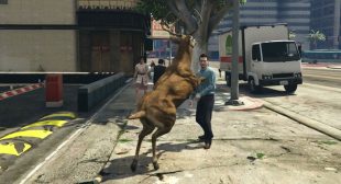 How to Turn Into Animal in Grand Theft Auto Online – norton.com/setup