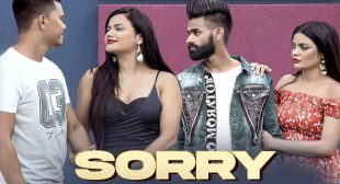 Sorry Lyrics